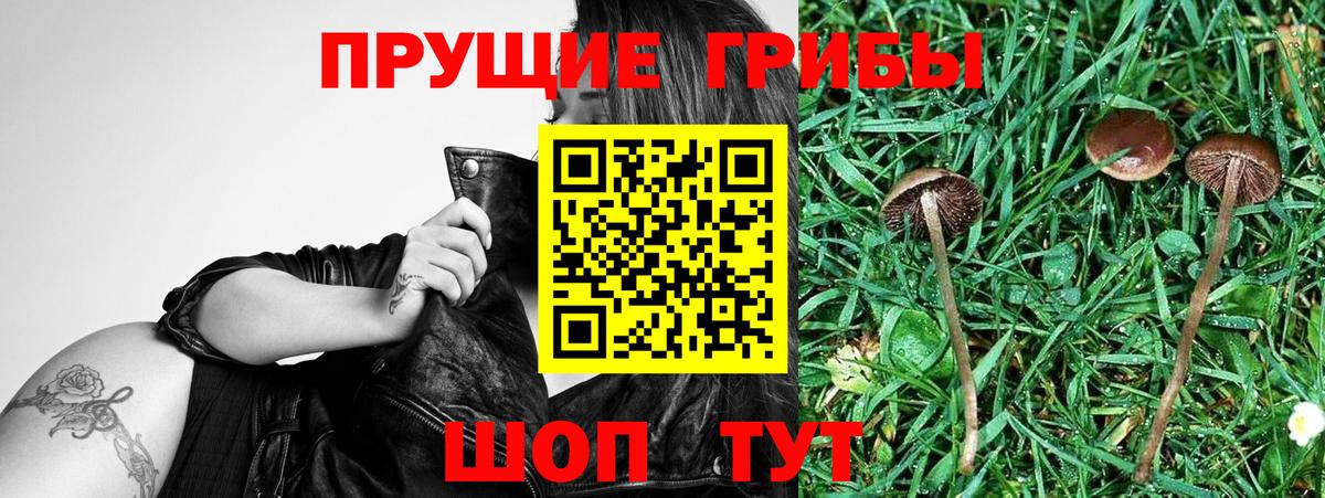 Галлюциногенные грибы мухоморы Донской