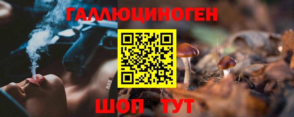 Донской  Псилоцибиновые грибы Psilocybe  Галлюциногенные грибы Magic Shrooms  Вход с VPN 